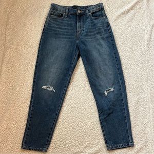 Lucky Brand Women's Size 8/29 Denim High Rise Mom Jeans